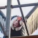 Cuenta regresiva para la reinauguraci�n del C�ndor