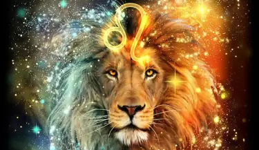 .portal-del-leon