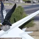 Mendoza inicia una de las obras viales m�s importantes de los �ltimos 50 a�os