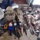 Tras una persecucin, detuvieron a cinco cazadores furtivos con armas y vizcachas muertas