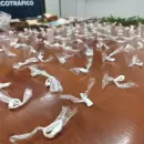 Incautaron una gran cantidad de droga y dinero en un barrio de Guaymall�n