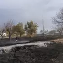 ( Videos) Mltiples incendios se combaten en el Sur de Mendoza