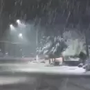 ( Video) El Manzano Histrico amaneci con una fuerte nevada