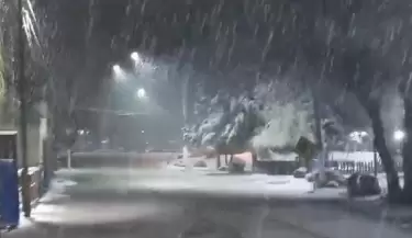 nevada en Manzano histrico