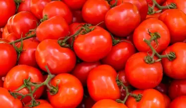 Tomate