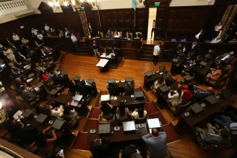 senado