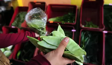 verduras plastico
