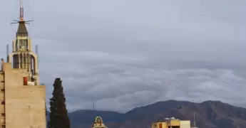 Celulares