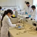 El Conicet incorporó a más de 500 nuevos investigadores