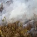 Crdoba: no quedan focos activos de incendios forestales