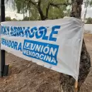 Multaron a La Unin Mendocina por vandalizar rboles con cartelera poltica