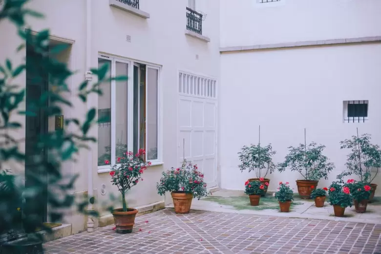 Plantas de jardín