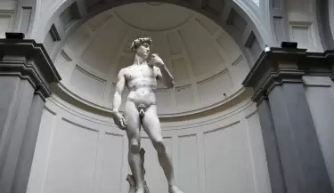 david
