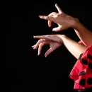 �Toma que Toma�: El flamenco se apodera del teatro El Taller en una noche de ritmo y pasi�n
