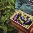 La berenjena, una aliada para la salud: descubr� sus propiedades y beneficios