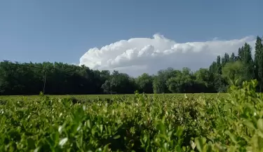 San Rafael