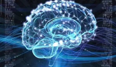 cerebro