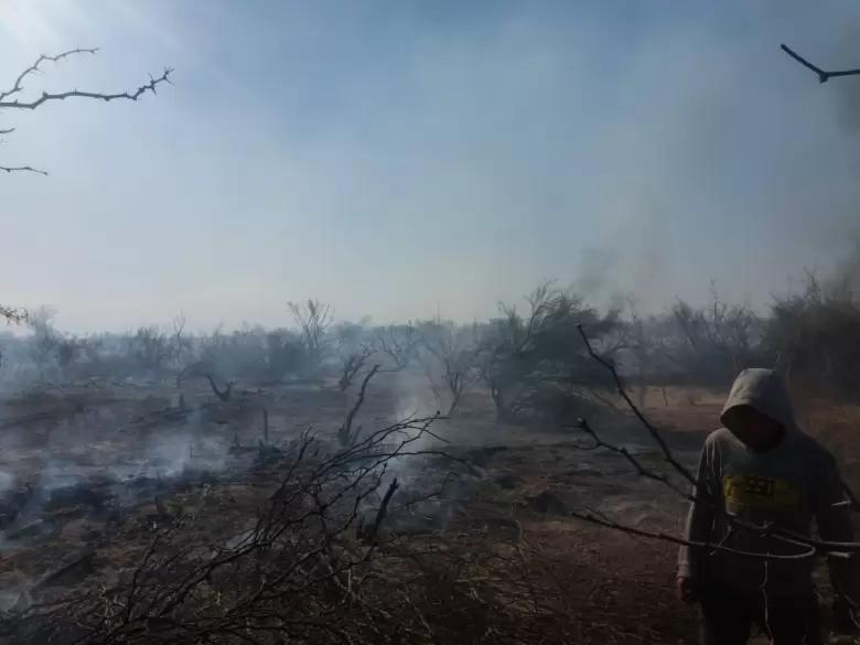Incendios en lavalle