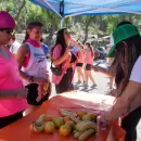 Atenci�n: Se viene en Capital la Pedaleada Octubre Rosa