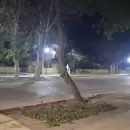 El Zonda golpe� con rigor en la madrugada: incendios, cortes de energ�a y da�os