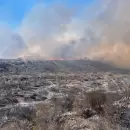 Incendios en Mendoza: Cmo proteger tu salud del humo Ambiental