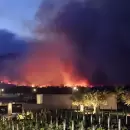 (Video) Se desat un feroz incendio en campo inculto en Lujn de Cuyo