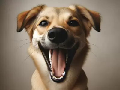 perro dientes