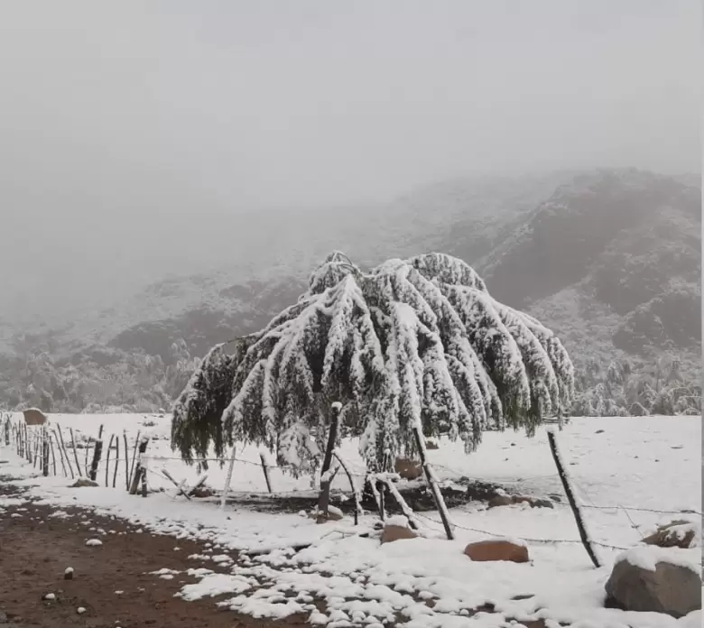 Nieve en Valle de Uco
