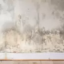 El truco casero para quitar el olor a humedad de las paredes
