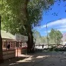 Los impactantes videos del viento Zonda que ya causa estragos en Mendoza