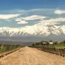 Mendoza recibe a importadores de vino europeos por el "Argentine Wine Trade Convention"