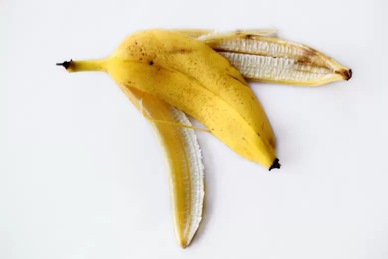 banana cascara