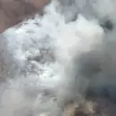 (Video) Un nuevo incendio se produjo en la zona del piedemonte mendocino