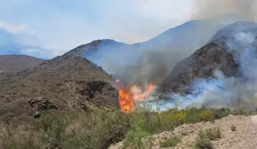 Incendio en el Cerro Vizcacha