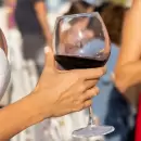 Degustaciones de vino con imponentes vistas en Ciudad