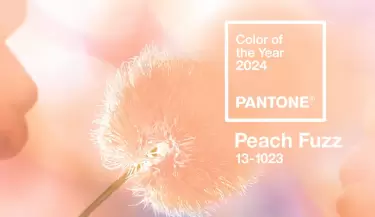 pantone 2024