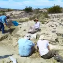 Un estudio revela el crecimiento de un cocodrilo que vivi en la Patagonia hace millones de aos