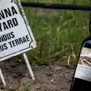 Dos vinos mendocinos obtuvieron por primera vez puntaje perfecto en la Gua Descorchados