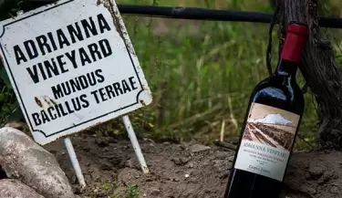 zuccardi