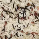El inesperado efecto de colocar arroz crudo como abono en tu jardn