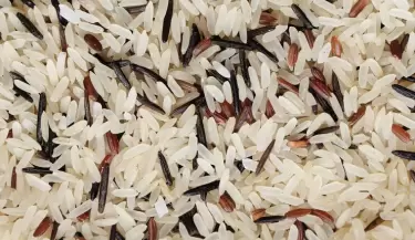arroz