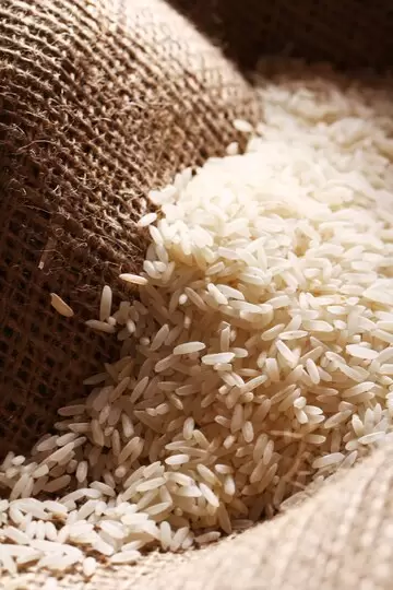 arroz