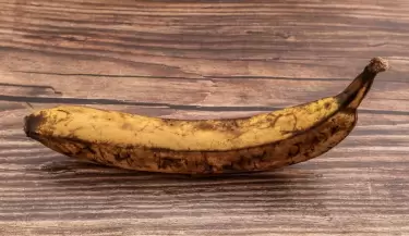platano-manchas-marrones_303157-149