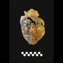 Monumental descubrimiento en Egipto: arquelogos encontraron antiguos objetos en tumbas milenarias