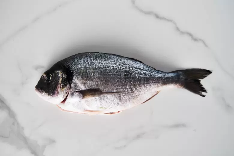 pescado