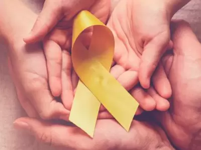 lucha cancer infantil efemerides 15 de enero