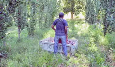 uatre-trabajador-rural-infocampo
