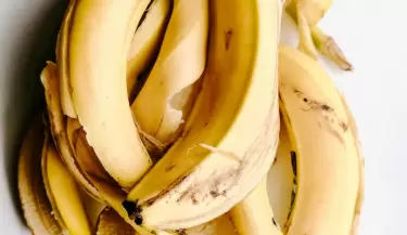 jardin banana