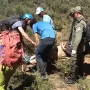 Un turista francs cay con un parapente en el Cerro Arco y sufri lesiones graves