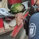 Rescatan una iguana colorada en San Martn